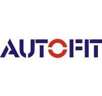 autofit